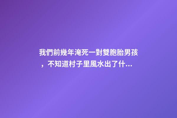我們前幾年淹死一對雙胞胎男孩，不知道村子里風水出了什么問題導